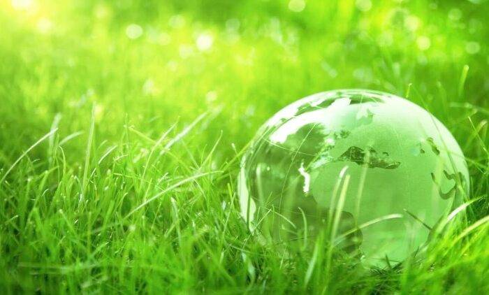 Going Green – Examples of ESG investing in practice